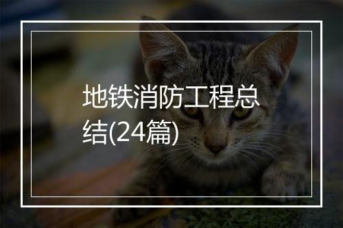 地铁消防工程总结(24篇)