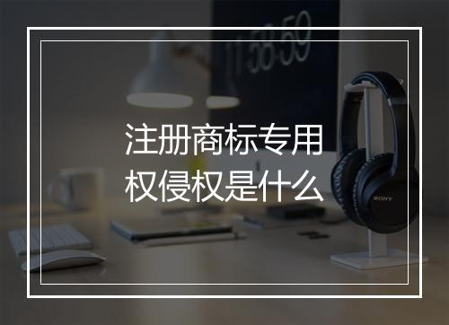注册商标专用权侵权是什么