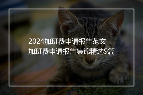 2024加班费申请报告范文 加班费申请报告集锦精选9篇