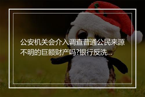 公安机关会介入调查普通公民来源不明的巨额财产吗?银行反洗钱是怎么审查的？
