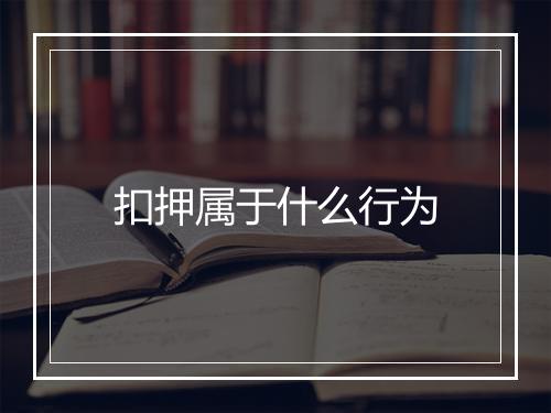 扣押属于什么行为