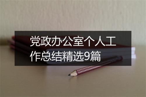 党政办公室个人工作总结精选9篇