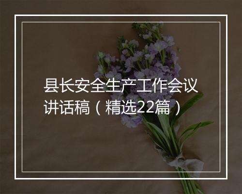 县长安全生产工作会议讲话稿（精选22篇）