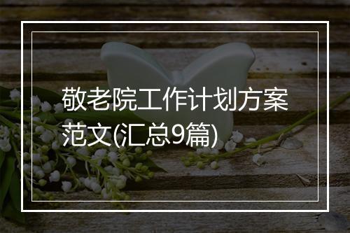 敬老院工作计划方案范文(汇总9篇)