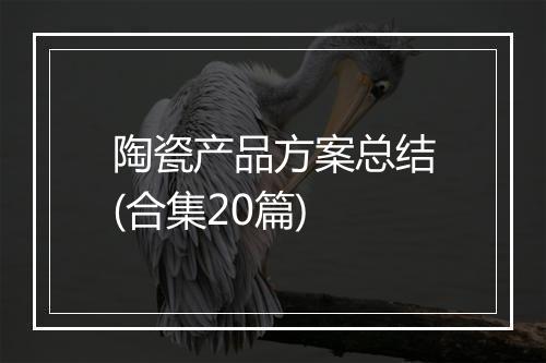 陶瓷产品方案总结(合集20篇)
