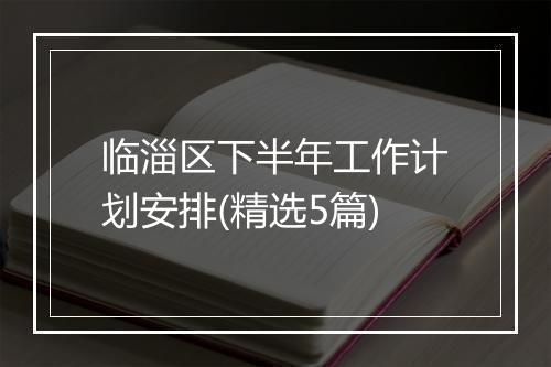 临淄区下半年工作计划安排(精选5篇)