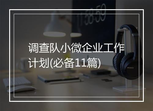 调查队小微企业工作计划(必备11篇)