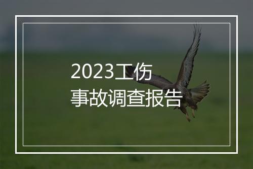 2023工伤事故调查报告