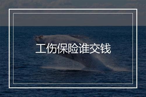 工伤保险谁交钱