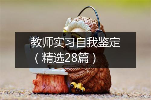 教师实习自我鉴定（精选28篇）