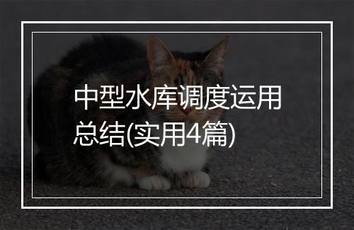 中型水库调度运用总结(实用4篇)