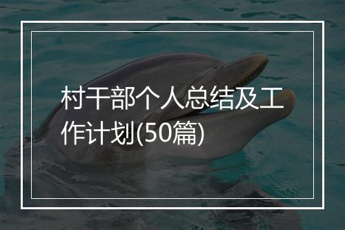 村干部个人总结及工作计划(50篇)