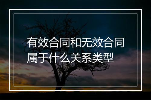 有效合同和无效合同属于什么关系类型