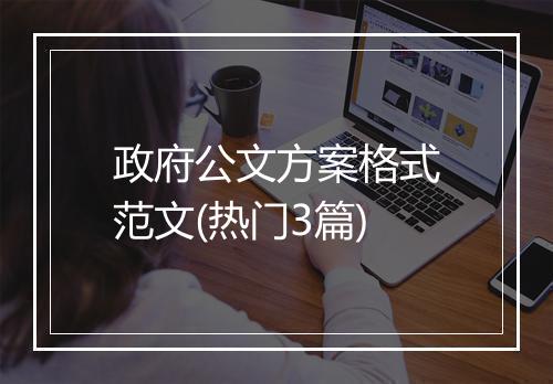 政府公文方案格式范文(热门3篇)