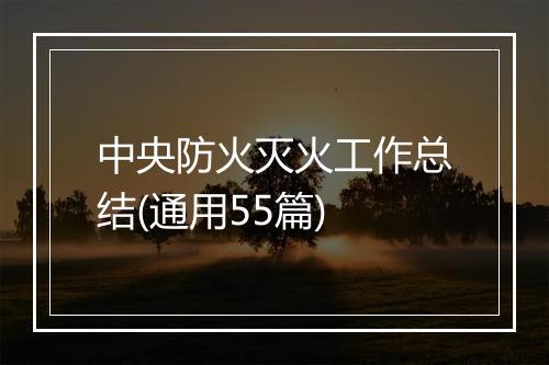 中央防火灭火工作总结(通用55篇)