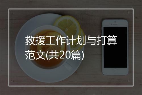 救援工作计划与打算范文(共20篇)