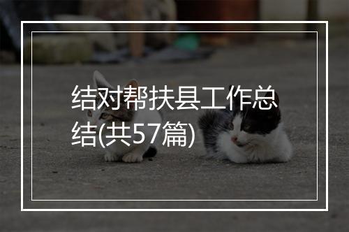 结对帮扶县工作总结(共57篇)