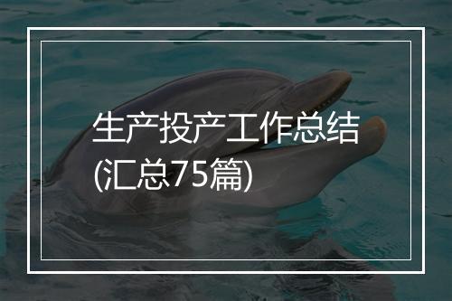 生产投产工作总结(汇总75篇)