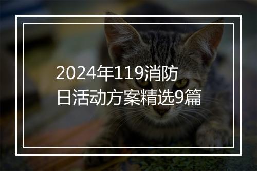 2024年119消防日活动方案精选9篇