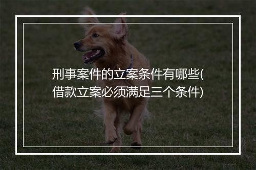 刑事案件的立案条件有哪些(借款立案必须满足三个条件)