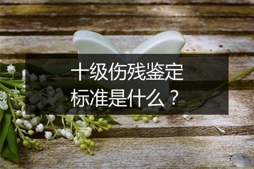 十级伤残鉴定标准是什么？