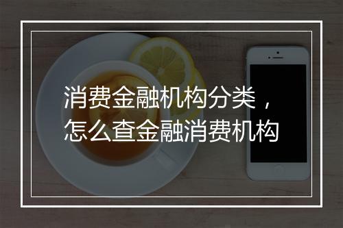 消费金融机构分类，怎么查金融消费机构