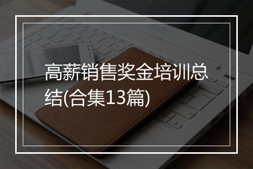 高薪销售奖金培训总结(合集13篇)