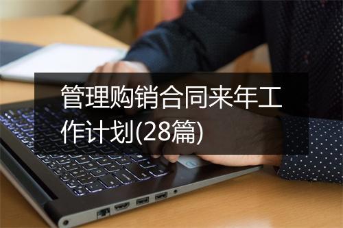 管理购销合同来年工作计划(28篇)
