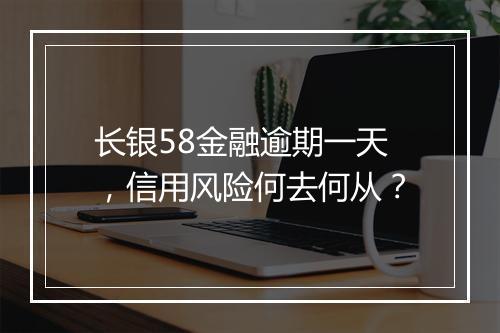 长银58金融逾期一天，信用风险何去何从？