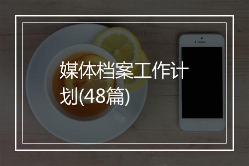 媒体档案工作计划(48篇)