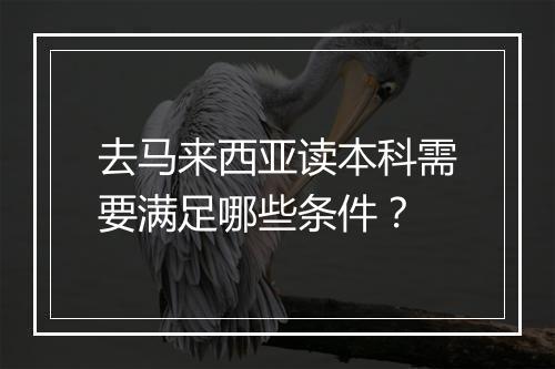 去马来西亚读本科需要满足哪些条件？