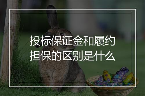 投标保证金和履约担保的区别是什么