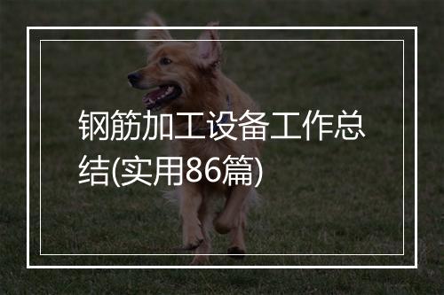 钢筋加工设备工作总结(实用86篇)