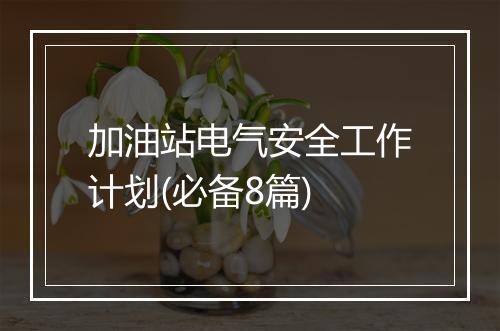 加油站电气安全工作计划(必备8篇)