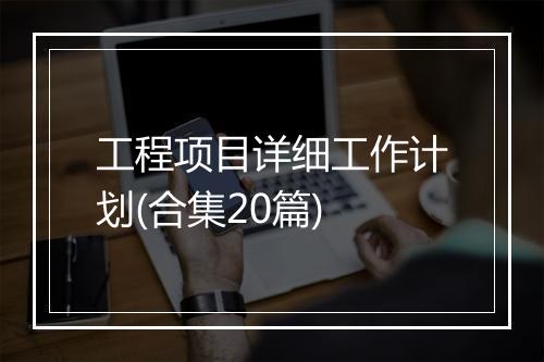 工程项目详细工作计划(合集20篇)