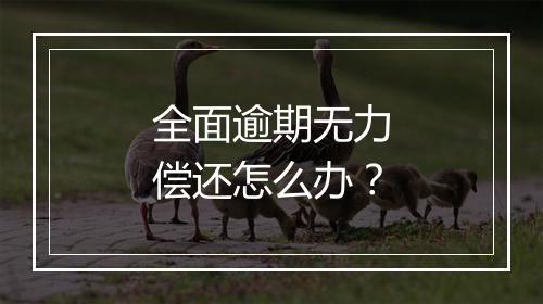 全面逾期无力偿还怎么办？