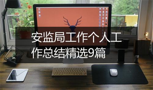 安监局工作个人工作总结精选9篇