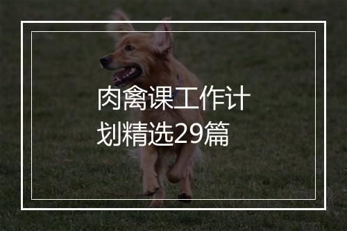 肉禽课工作计划精选29篇