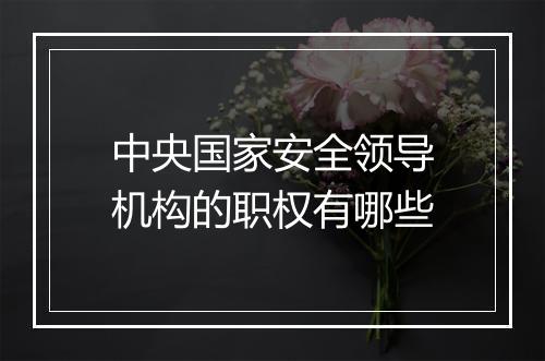 中央国家安全领导机构的职权有哪些