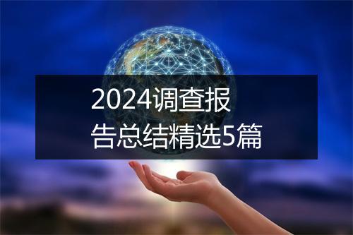 2024调查报告总结精选5篇