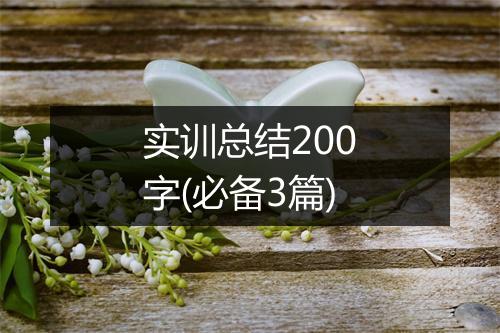 实训总结200字(必备3篇)