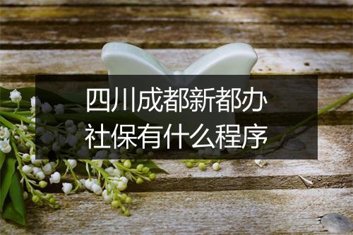 四川成都新都办社保有什么程序