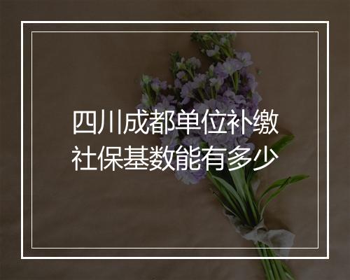 四川成都单位补缴社保基数能有多少