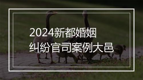 2024新都婚姻纠纷官司案例大邑