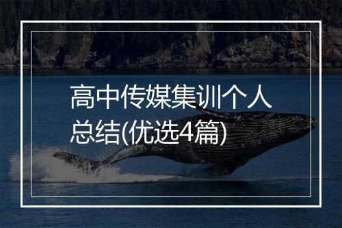 高中传媒集训个人总结(优选4篇)