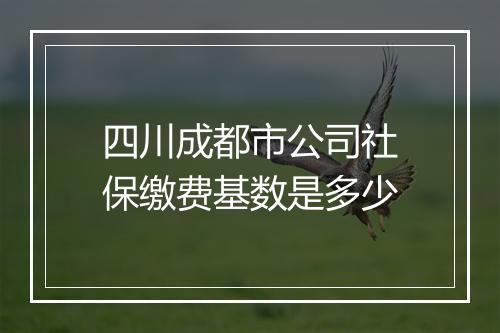 四川成都市公司社保缴费基数是多少