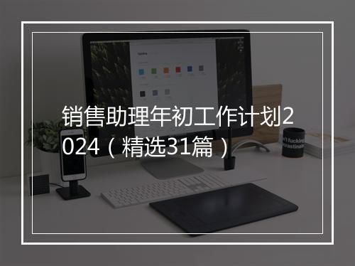销售助理年初工作计划2024（精选31篇）