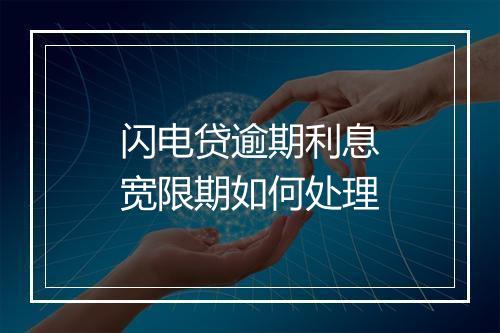 闪电贷逾期利息宽限期如何处理