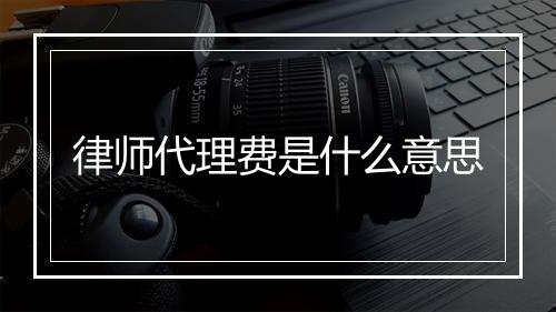 律师代理费是什么意思