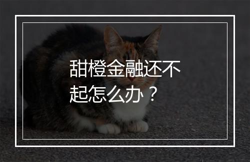 甜橙金融还不起怎么办？